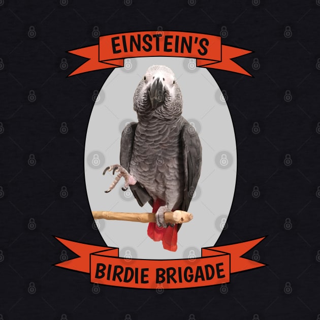 Birdie Brigade African Grey Parrot by Einstein Parrot